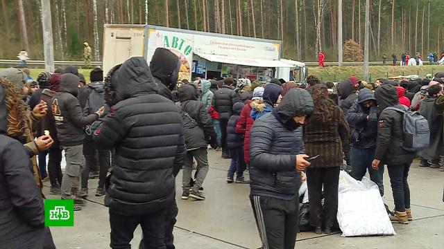 что делать при нападении быка. Смотреть фото что делать при нападении быка. Смотреть картинку что делать при нападении быка. Картинка про что делать при нападении быка. Фото что делать при нападении быка