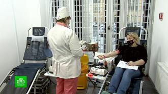 Петербургским чиновникам пустили кровь в честь дня донора