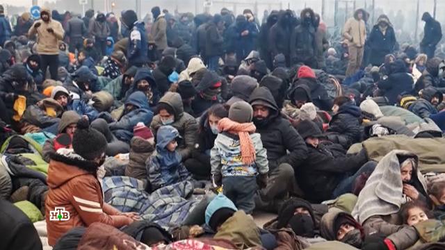 Зима близко: ситуация с мигрантами у польской границы становится проблемой для Минска