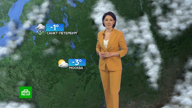 Прогноз погоды на 23 ноября.погода, прогноз погоды.НТВ.Ru: новости, видео, программы телеканала НТВ