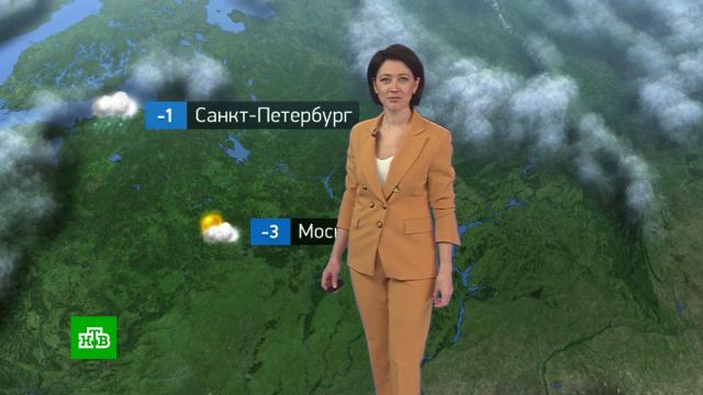 Утренний прогноз погоды на 23 ноября.погода, прогноз погоды.НТВ.Ru: новости, видео, программы телеканала НТВ