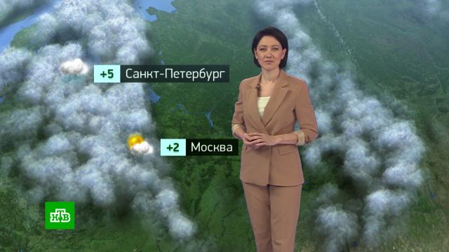 Утренний прогноз погоды на 25 ноября.погода, прогноз погоды.НТВ.Ru: новости, видео, программы телеканала НТВ
