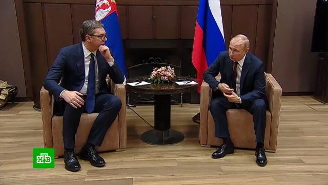 Путин пообещал президенту Сербии «приемлемое решение» по цене на газ.Путин, Сербия, переговоры.НТВ.Ru: новости, видео, программы телеканала НТВ