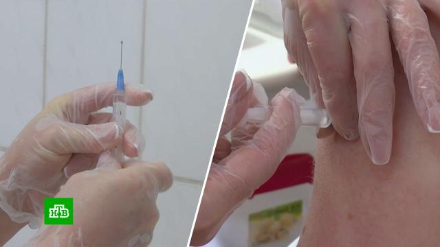Центр Гамалеи: существующие в РФ вакцины эффективны против омикрон-штамма.вакцинация, коронавирус, эпидемия.НТВ.Ru: новости, видео, программы телеканала НТВ