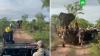 В Африке слон напал на джип со студентами: видео 