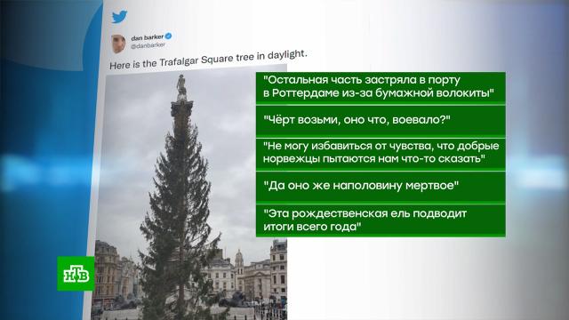 что означает сделать чайный пакетик. Смотреть фото что означает сделать чайный пакетик. Смотреть картинку что означает сделать чайный пакетик. Картинка про что означает сделать чайный пакетик. Фото что означает сделать чайный пакетик