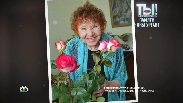 диетические куриные яйца чем отличие. Смотреть фото диетические куриные яйца чем отличие. Смотреть картинку диетические куриные яйца чем отличие. Картинка про диетические куриные яйца чем отличие. Фото диетические куриные яйца чем отличие