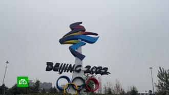 Поздняков назвал дипломатический бойкот Олимпиады в Пекине бессмысленным