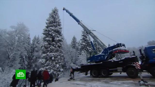 чем покрасить рыбу в красный цвет в домашних условиях. Смотреть фото чем покрасить рыбу в красный цвет в домашних условиях. Смотреть картинку чем покрасить рыбу в красный цвет в домашних условиях. Картинка про чем покрасить рыбу в красный цвет в домашних условиях. Фото чем покрасить рыбу в красный цвет в домашних условиях