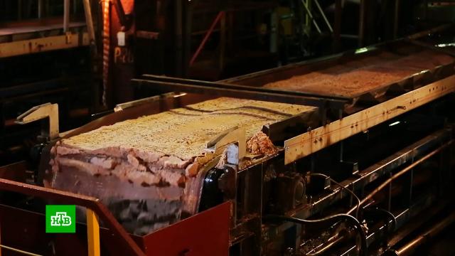 Что случилось в общежитии сахгу. Смотреть фото Что случилось в общежитии сахгу. Смотреть картинку Что случилось в общежитии сахгу. Картинка про Что случилось в общежитии сахгу. Фото Что случилось в общежитии сахгу