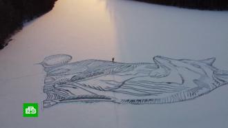 Художник с помощью лопаты и снегоступов создал гигантское изображение лисы на льду озера