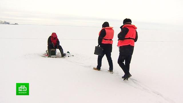 Что случилось в люберцах сегодня на железной дороге. Смотреть фото Что случилось в люберцах сегодня на железной дороге. Смотреть картинку Что случилось в люберцах сегодня на железной дороге. Картинка про Что случилось в люберцах сегодня на железной дороге. Фото Что случилось в люберцах сегодня на железной дороге
