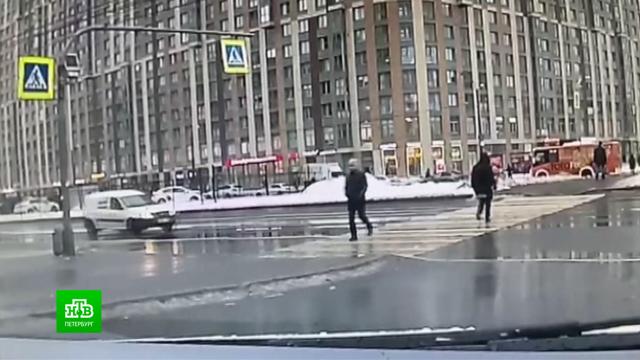 Что случилось с собчаком. Смотреть фото Что случилось с собчаком. Смотреть картинку Что случилось с собчаком. Картинка про Что случилось с собчаком. Фото Что случилось с собчаком