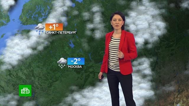 Как портится сыр с плесенью. Смотреть фото Как портится сыр с плесенью. Смотреть картинку Как портится сыр с плесенью. Картинка про Как портится сыр с плесенью. Фото Как портится сыр с плесенью