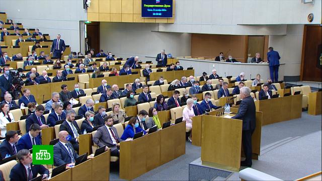Чем занимаются домашние питомцы. Смотреть фото Чем занимаются домашние питомцы. Смотреть картинку Чем занимаются домашние питомцы. Картинка про Чем занимаются домашние питомцы. Фото Чем занимаются домашние питомцы