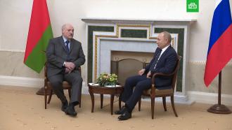 Интеграция экономик и поддержка: что обсуждали Путин и Лукашенко в Петербурге