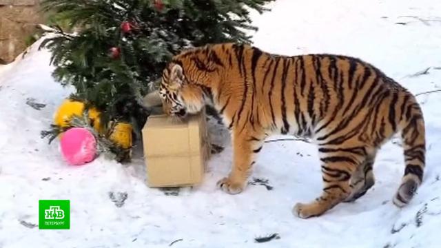 Для чего нужны полосы на дороге. Смотреть фото Для чего нужны полосы на дороге. Смотреть картинку Для чего нужны полосы на дороге. Картинка про Для чего нужны полосы на дороге. Фото Для чего нужны полосы на дороге