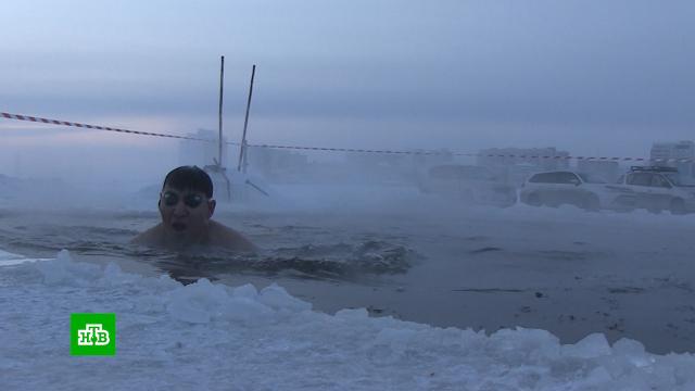 Якутские моржи устраивают заплывы в 50-градусный мороз