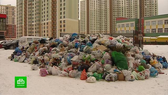 Чиновники объяснили, почему Петербург завалило мусором.ЖКХ, Санкт-Петербург, мусор.НТВ.Ru: новости, видео, программы телеканала НТВ