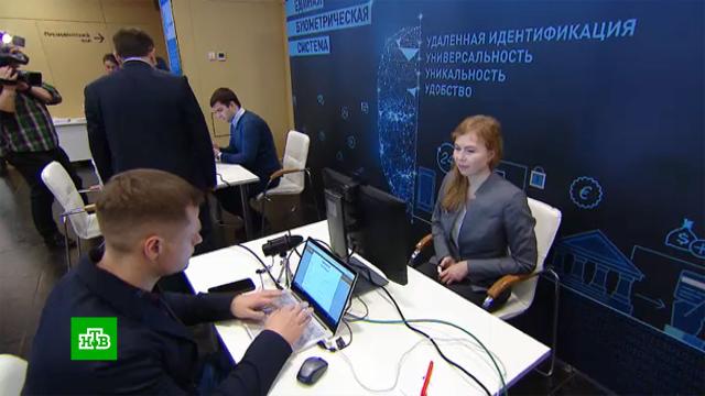Портал госуслуг хотят объединить с государственной биометрической системой.Интернет.НТВ.Ru: новости, видео, программы телеканала НТВ