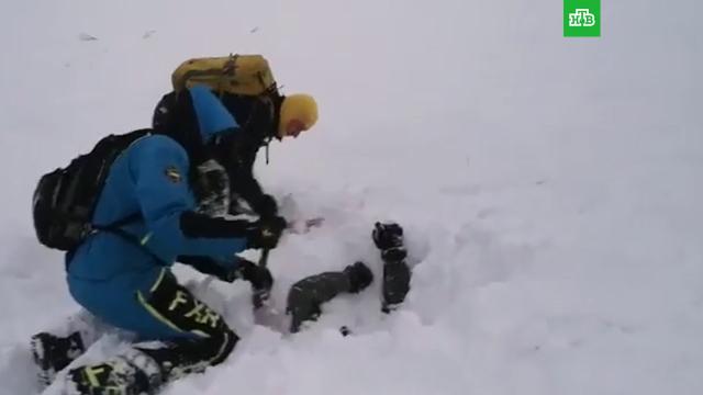 На Камчатке друзья откопали мужчину, которого с головой накрыла лавина.НТВ.Ru: новости, видео, программы телеканала НТВ