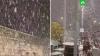 Израиль засыпало снегом Греция, Израиль, Турция, аварии в ЖКХ, погодные аномалии, снег.НТВ.Ru: новости, видео, программы телеканала НТВ