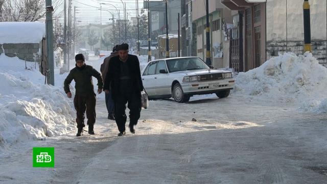 По Ираку ударили 30-градусные морозы.Ирак, зима, морозы, погодные аномалии, снег.НТВ.Ru: новости, видео, программы телеканала НТВ