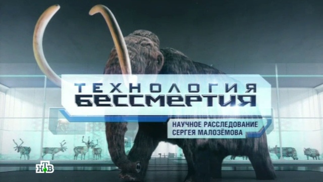 малоземов еда живая биография. Смотреть фото малоземов еда живая биография. Смотреть картинку малоземов еда живая биография. Картинка про малоземов еда живая биография. Фото малоземов еда живая биография малоземов еда живая биография. Смотреть фото малоземов еда живая биография. Смотреть картинку малоземов еда живая биография. Картинка про малоземов еда живая биография. Фото малоземов еда живая биография