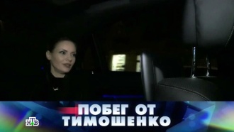 «Побег от Тимошенко», «Зять Тимошенко: Юля, гуд бай!».«Побег от Тимошенко».НТВ.Ru: новости, видео, программы телеканала НТВ