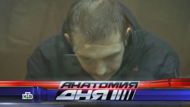 Анатомия дня 2014