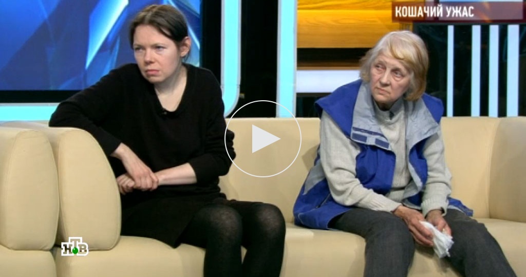 Говорим и показываем / Выпуски программы / «Кошачий ужас»