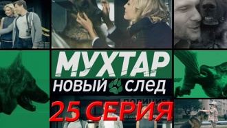 25-я серия.25-я серия.НТВ.Ru: новости, видео, программы телеканала НТВ