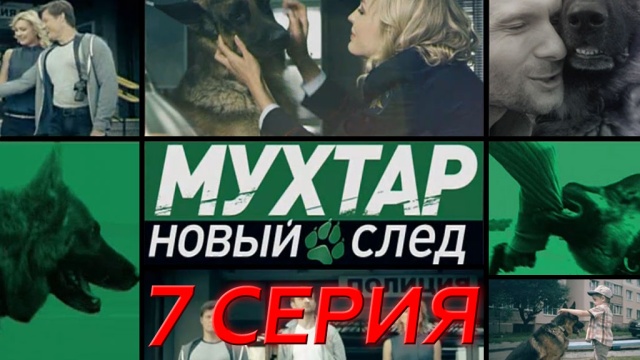 Сериал «Возвращение Мухтара».полиция, сериалы, собаки.НТВ.Ru: новости, видео, программы телеканала НТВ