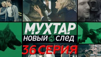 36-я серия.36-я серия.НТВ.Ru: новости, видео, программы телеканала НТВ