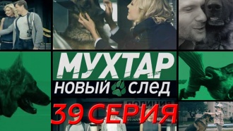 39-я серия.39-я серия.НТВ.Ru: новости, видео, программы телеканала НТВ