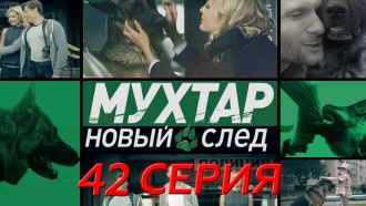 42-я серия.42-я серия.НТВ.Ru: новости, видео, программы телеканала НТВ