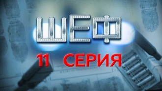 11-я и 12-я серии.11-я серия.НТВ.Ru: новости, видео, программы телеканала НТВ