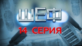 14-я серия.14-я серия.НТВ.Ru: новости, видео, программы телеканала НТВ