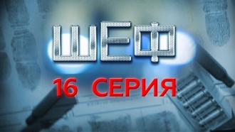 16-я серия.16-я серия.НТВ.Ru: новости, видео, программы телеканала НТВ