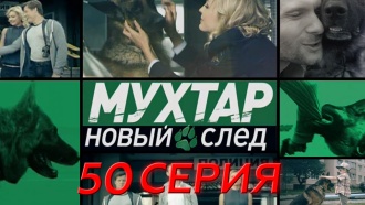 50-я серия.50-я серия.НТВ.Ru: новости, видео, программы телеканала НТВ