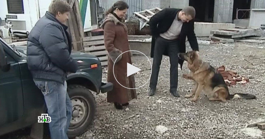 Видео возвращения мухтара. Возвращение Мухтара 2. Возвращение Мухтара 2 Мухтар.