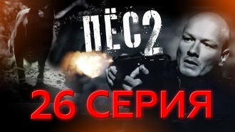 Пес Новые Серии Сентября 2022 Года Пес Новые Серии Сентября 2022 Года
