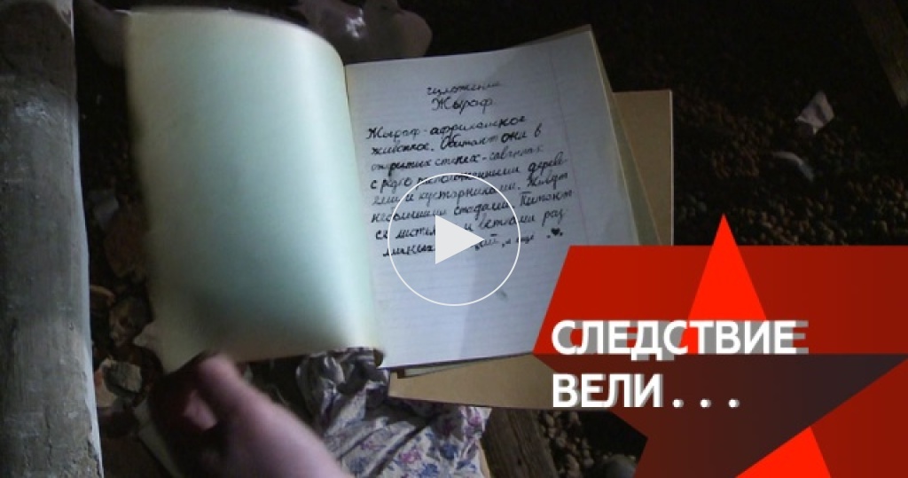 Следствие Вели Новогодние Выпуски Следствие Вели Новогодние Выпуски