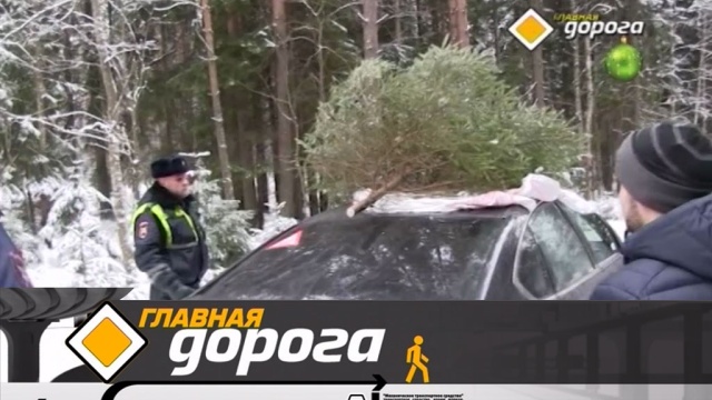 Главная дорога.
автомобили, автомотоспорт, бензин, ГИБДД, дороги, дорожное движение, ДТП.
НТВ.Ru: новости, видео, программы телеканала НТВ Главная дорога.
автомобили, автомотоспорт, бензин, ГИБДД, дороги, дорожное движение, ДТП.
НТВ.Ru: новости, видео, программы телеканала НТВ