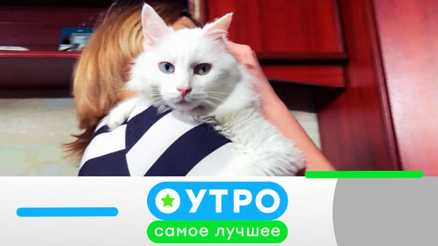 Смотреть 4 апреля 2019 года видео Смотреть 4 апреля 2019 года видео