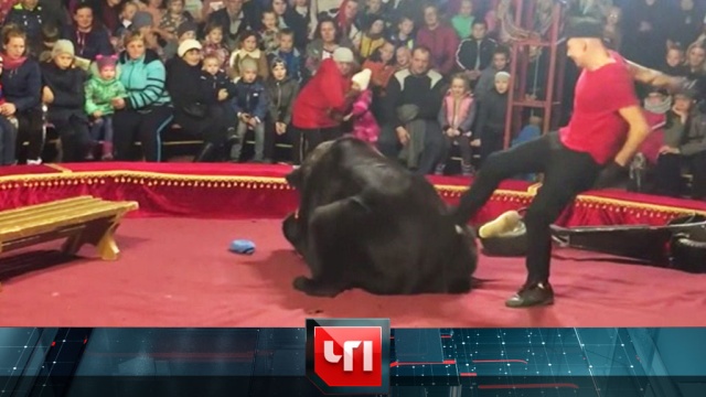 24 ������� 2019 ����.24 ������� 2019 ����.���.Ru: �������, �����, ��������� ���������� ���