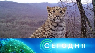 Багдад что происходит сейчас. Смотреть фото Багдад что происходит сейчас. Смотреть картинку Багдад что происходит сейчас. Картинка про Багдад что происходит сейчас. Фото Багдад что происходит сейчас