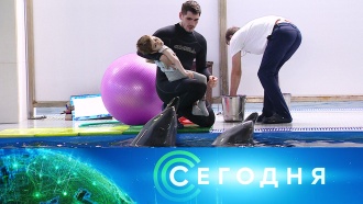 Багдад что происходит сейчас. Смотреть фото Багдад что происходит сейчас. Смотреть картинку Багдад что происходит сейчас. Картинка про Багдад что происходит сейчас. Фото Багдад что происходит сейчас