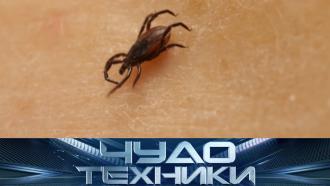 ��� �� ��������� ����� �&nbsp;������ ����� ������� ������? &laquo;���� �������&raquo;&nbsp; ����������� �&nbsp;11:00&nbsp;�� ���.���.Ru: �������, �����, ��������� ���������� ���