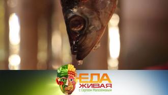 ��� �������� ������ �� ������� �&nbsp;�����&nbsp;�� ��������� ������� K? &laquo;����� ���&raquo;&nbsp; �&nbsp;������� �� ���.���.Ru: �������, �����, ��������� ���������� ���